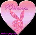   welcom 